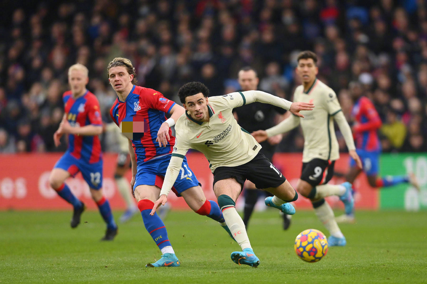 同时也增加 同时也增加